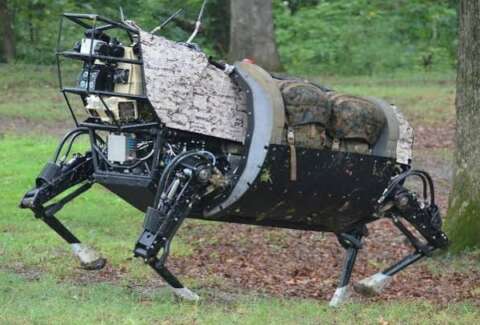 Robot