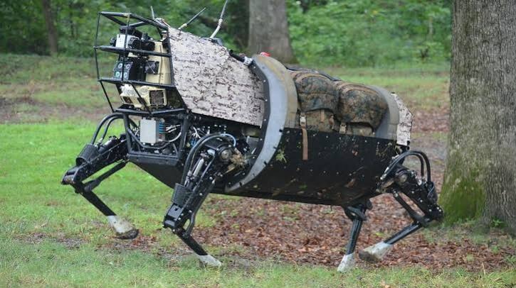 Robot